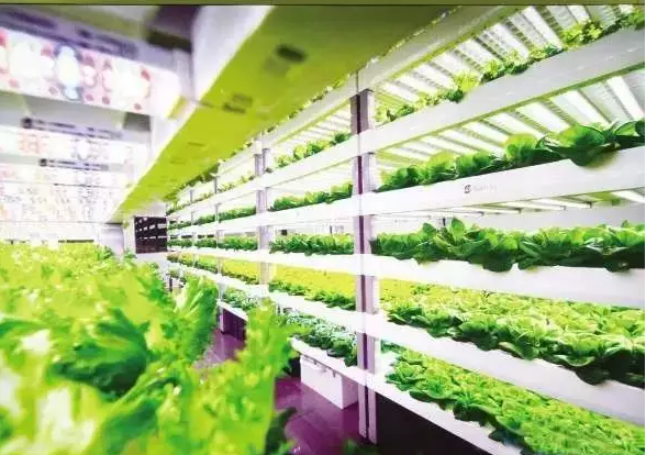 南京諾爾迅亮化，照明亮化工程