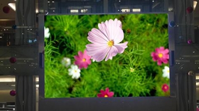 <b>Mini LED來(lái)勢(shì)洶洶，OLED還扛得住嗎？</b>